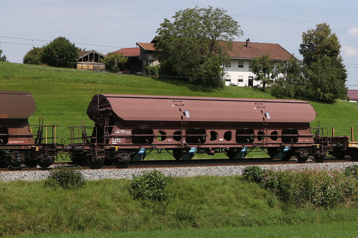 0838 294 (Tadns) von  RCW  am 7. August 2024 bei Axdorf.