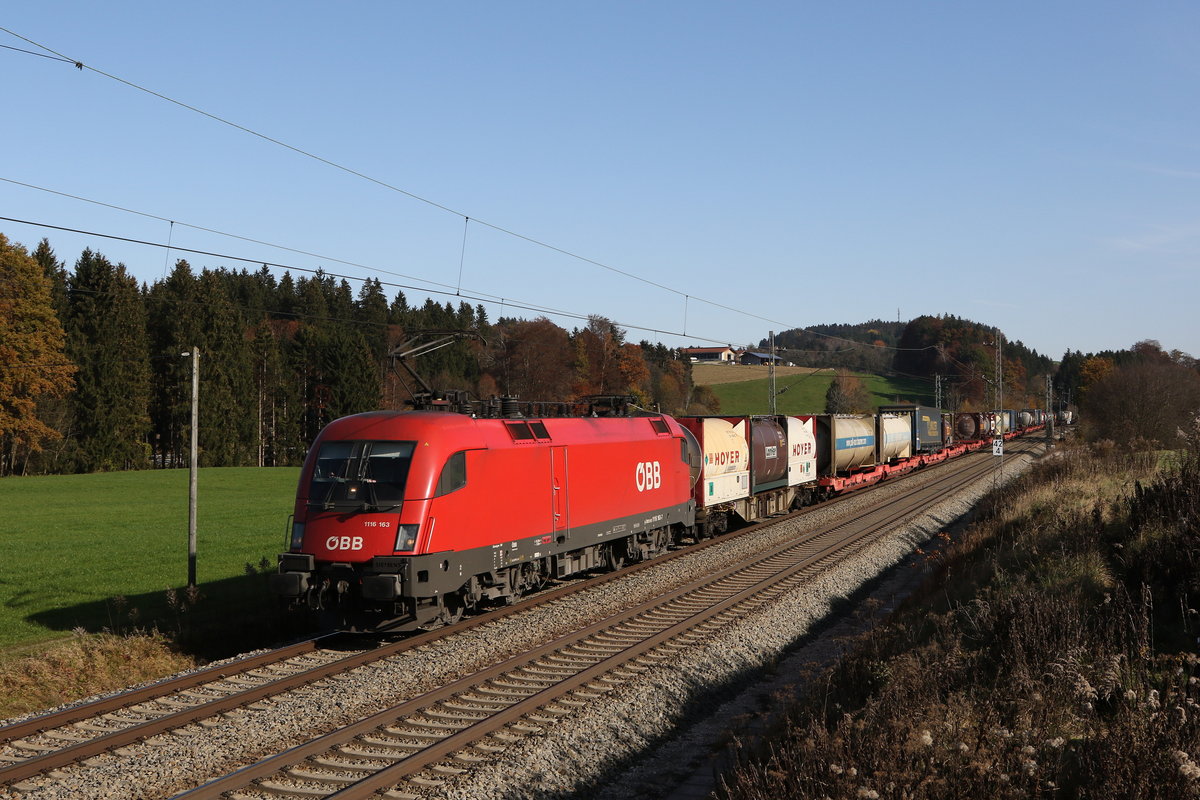 1116 163 mit einem  KLV  aus Salzburg kommend am 9. November 2020 bei Grabensttt im Chiemgau.