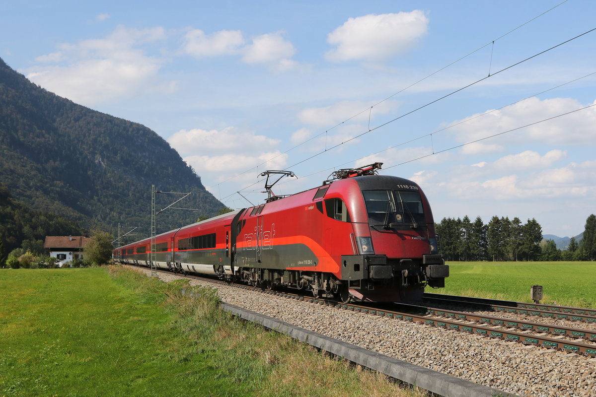 1116 239 am 10. September 2020 bei Niederaudorf im Inntal.