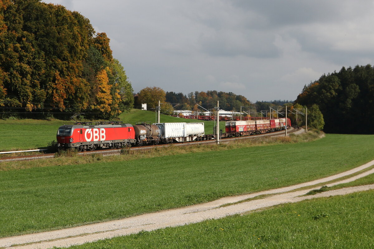 1293 029 mit einem gemischten Gterzug aus Salzburg kommend am 15. Oktober 2025 bei Axdorf.