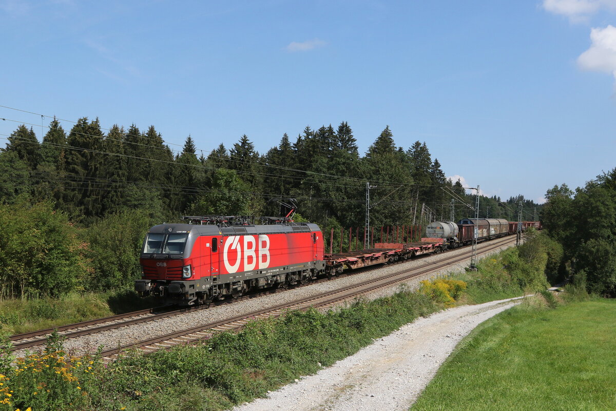 1293 060 mit einem gemischten Gterzug aus Salzburg kommend am 30. August 2022 bei Grabensttt im Chiemgau.