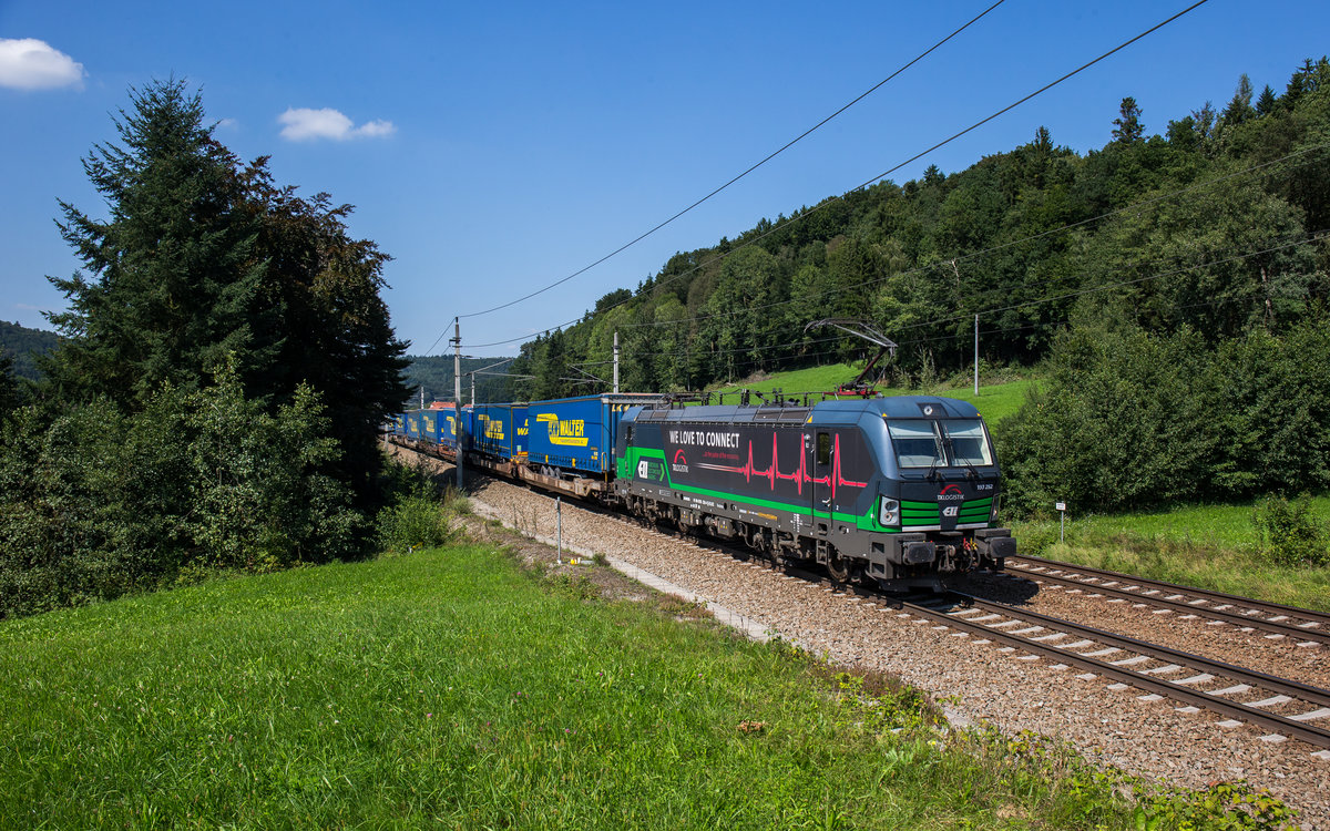 193 252  We love to Connect  mit dem  Walter -Zug am 23. August 2017 bei Wernstein.