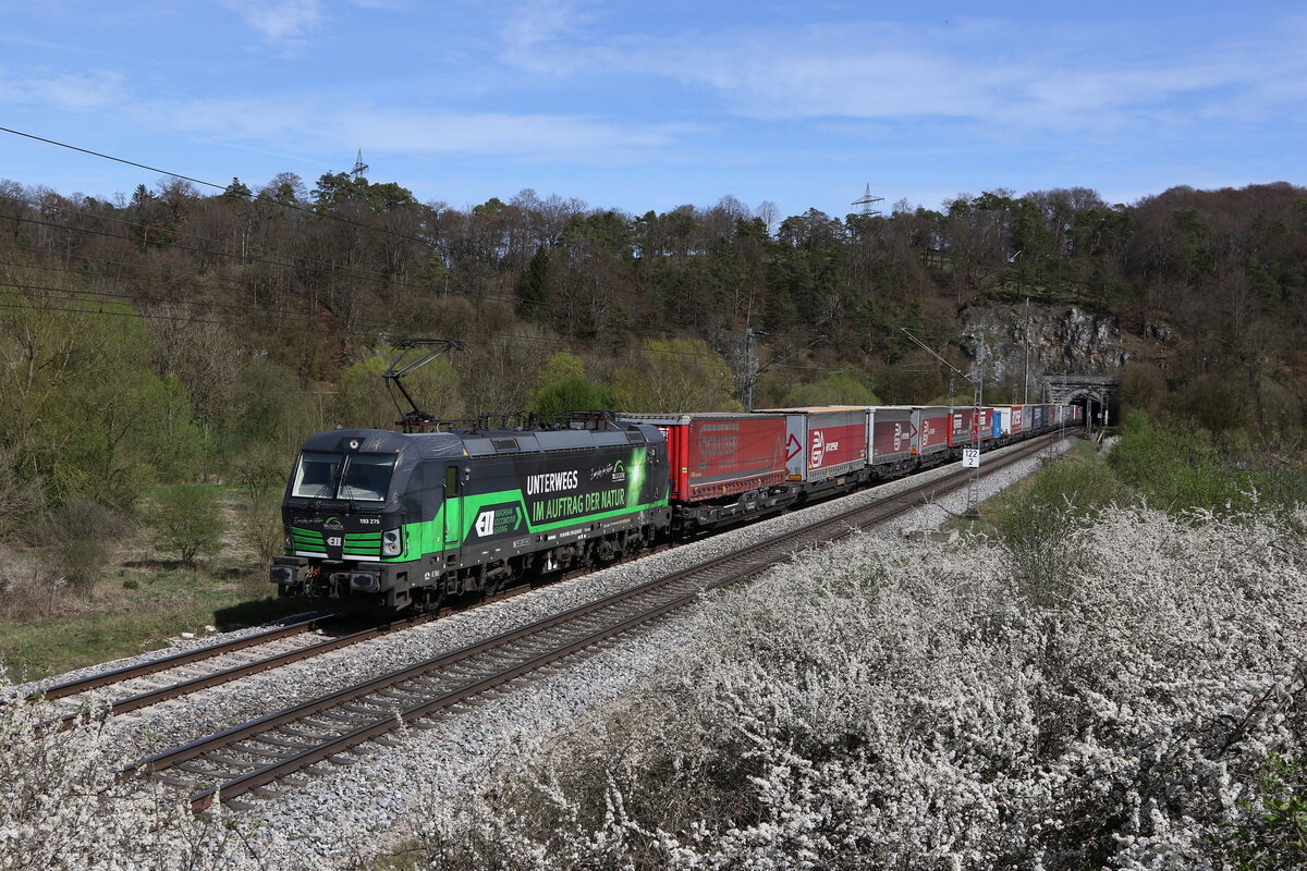 193 275 mit einem  KLV  am 5. April 2024 kurz nach dem  Esslinger Tunnel  bei Solnhofen im Altmhltal.