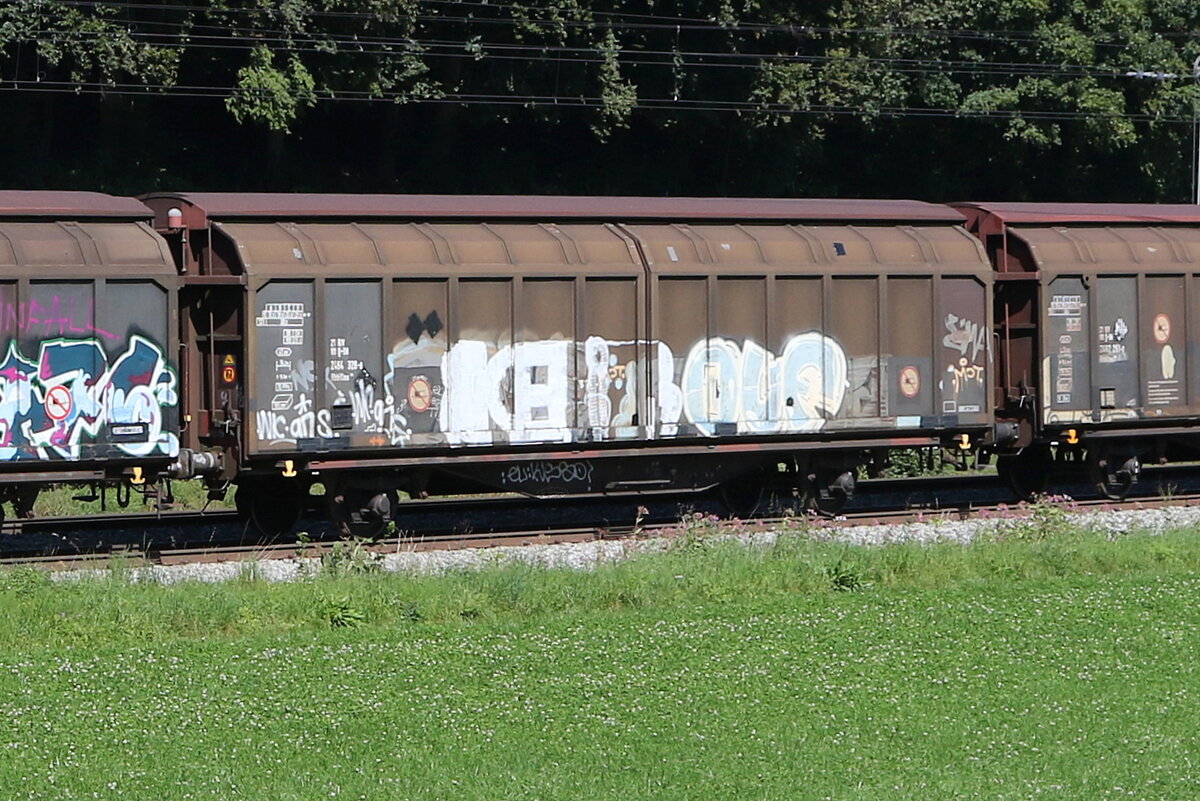 2454 328 (Hbills) am 6. September 2023 bei Axdorf.