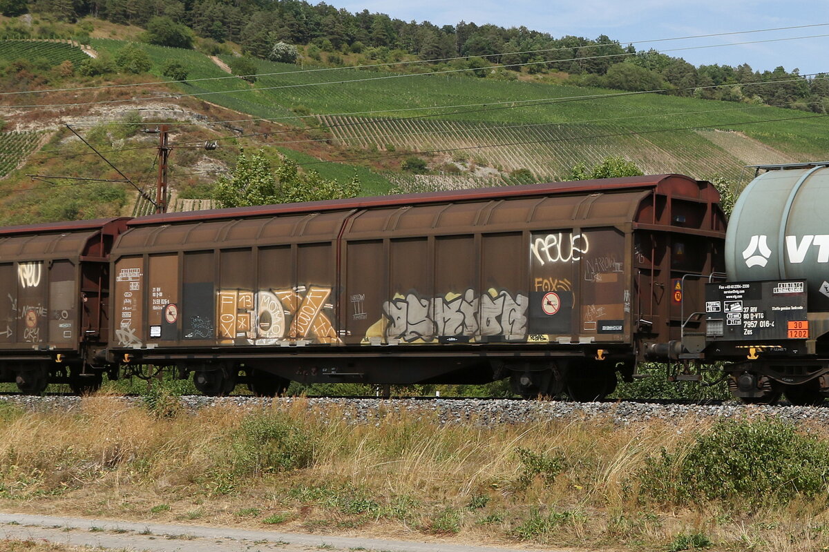 2459 026 (Hbbillns) am 5. August 2022 bei Thngersheim.