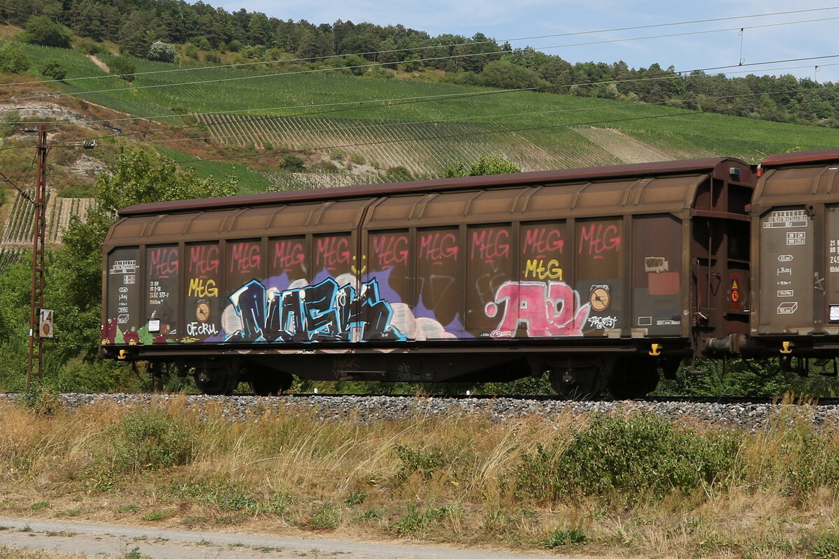 2462 377 (Hbillns) am 5. August 2022 bei Thngersheim.