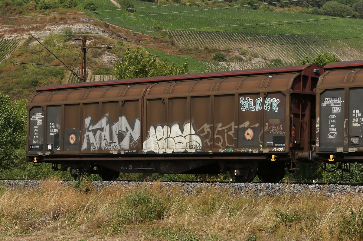 2464 319 (Hbbillns) am 5. August 2022 bei Thngersheim.