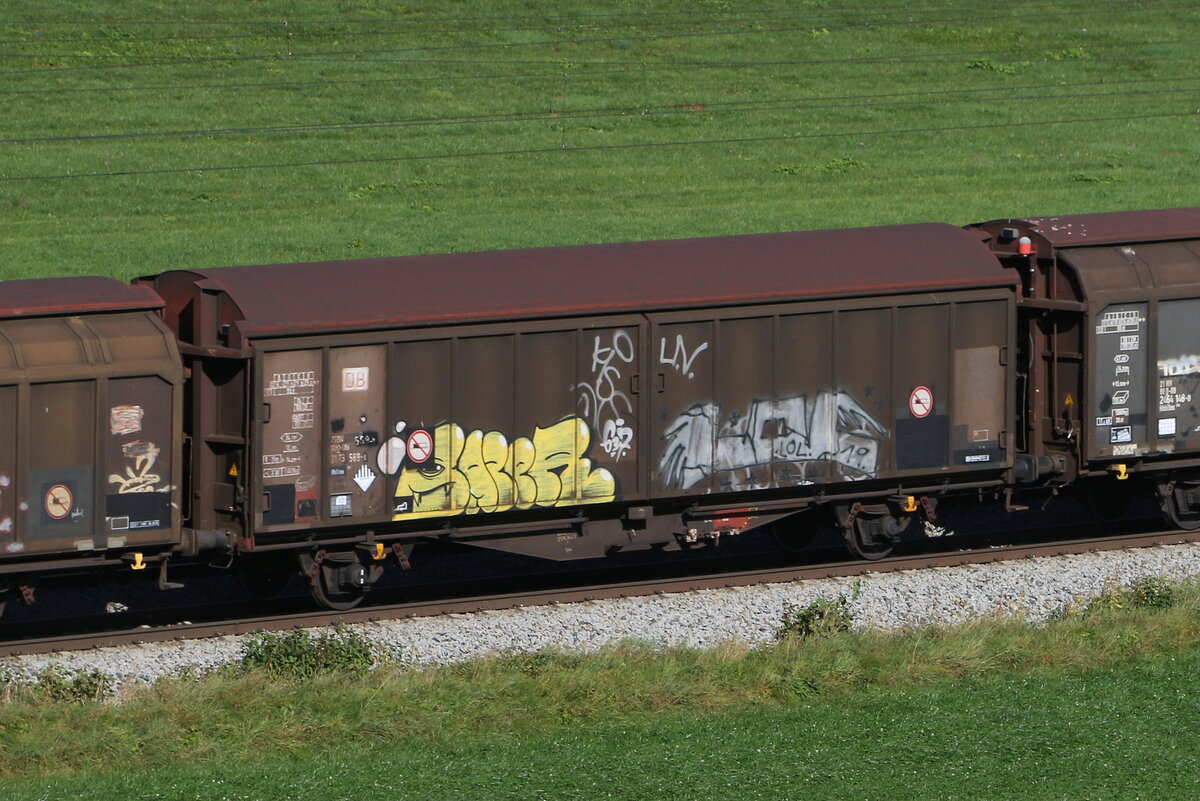 2473 569 (Habbiins) am 11. Oktober 2023 bei Axdorf.