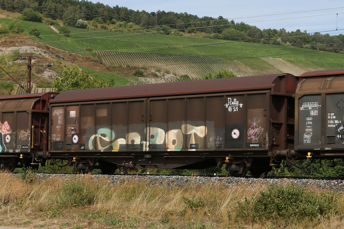 2473 600 (Hbillns) am 5. August 2022 bei Thngersheim.