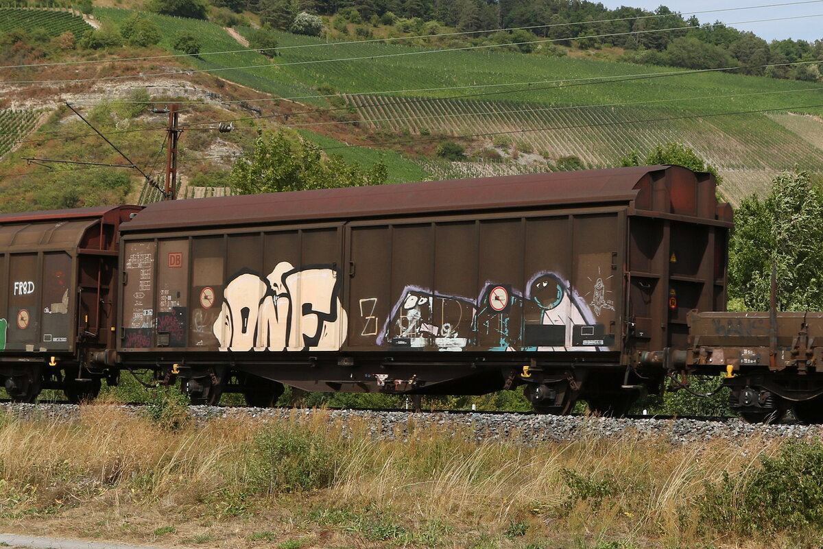 2473 787 (Hbillns) am 5. August 2022 bei Thngersheim.