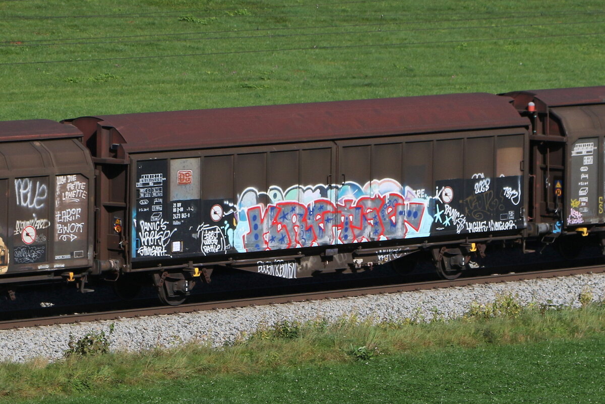 2473 841 (Habbiins) am 11. Oktober 2023 bei Axdorf.