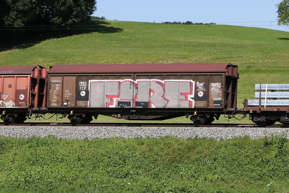 2474 533 (Habiilns) am 25. Juni 2025 bei Axdorf.
