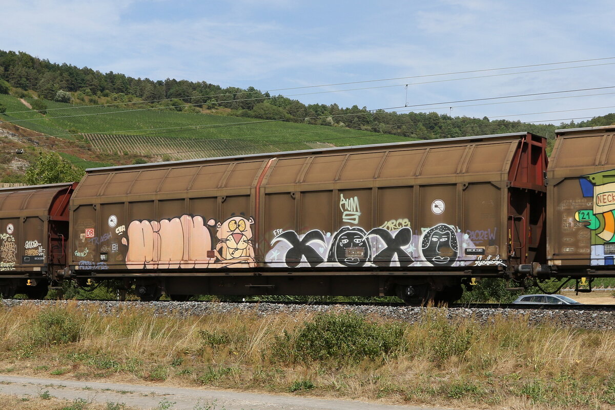 2476 015 (Hbbills) am 5. August 2022 bei Thngersheim.