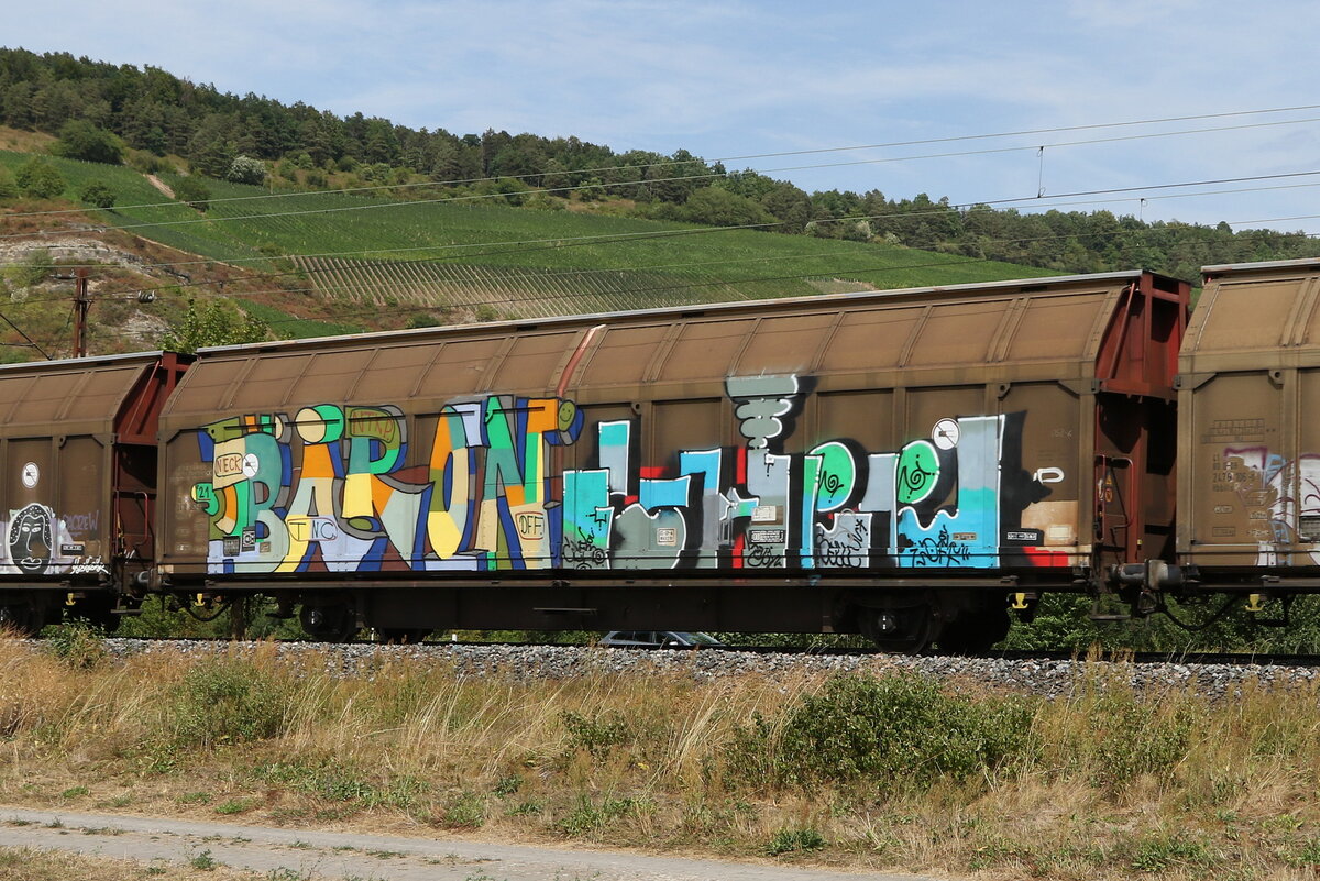 2476 052 (Hbbills) am 5. August 20222 bei Thngersheim.