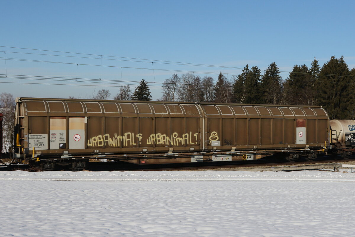 2739 468 (Habbiins) am 26. Januar 2022 bei Grabensttt.