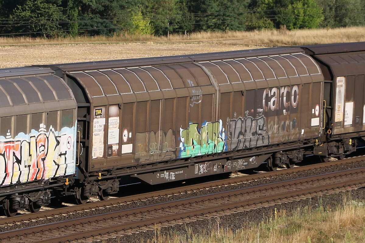 2740 133 (Habbiins) von  TWA  am 7. August 2022 bei Harrbach im Maintal.