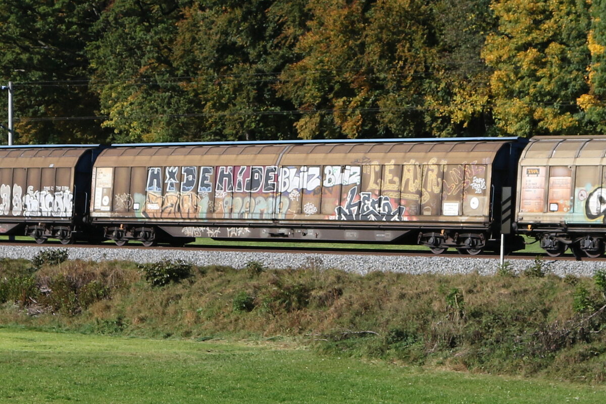 2741 564 (Habbiins) von  TWA  am 25. Oktober 2023 bei Axdorf.