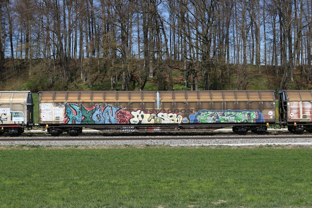 2742 089 (Habbins) von  TWA  am 8. April 2025 bei Axdorf.