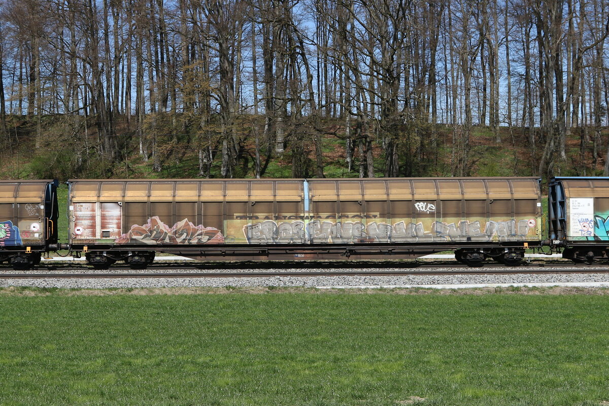 2742 113 (Habbins) von  TWA  am 8. April 2025 bei Axdorf.