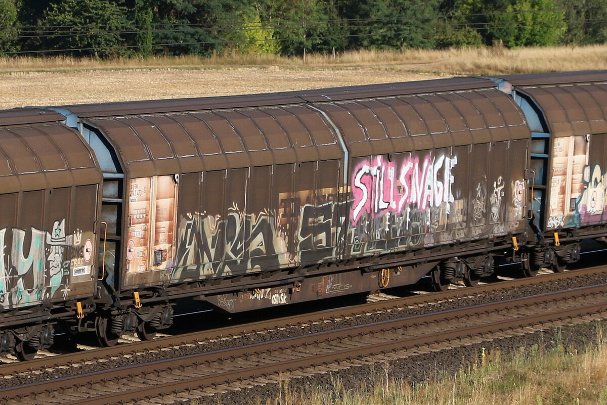 2742 473 (Habbiins) von  TWA  am 7. August 2022 bei Harrbach am Main.