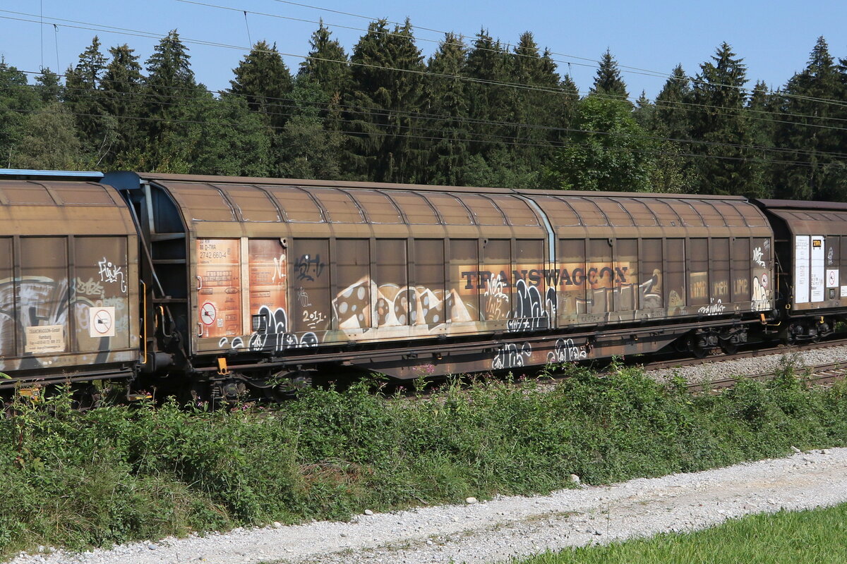 2742 660 (Habbiins) von  TWA  am 30. August 2022 bei Grabensttt.