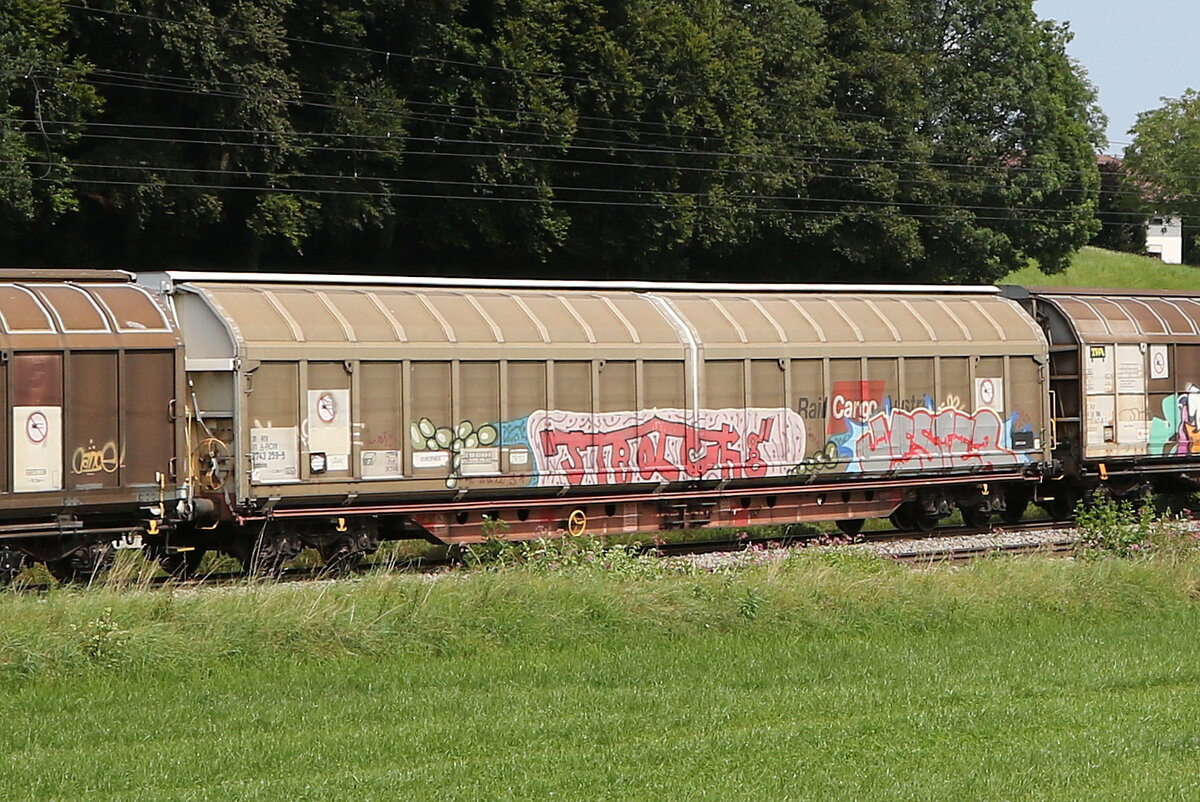 2743 253 (Habbiins) am 7. August 2024 bei Axdorf.