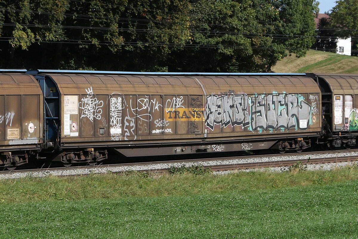 2743 290 (Habbiins) am 11. Oktober 2023 bei Axdorf.