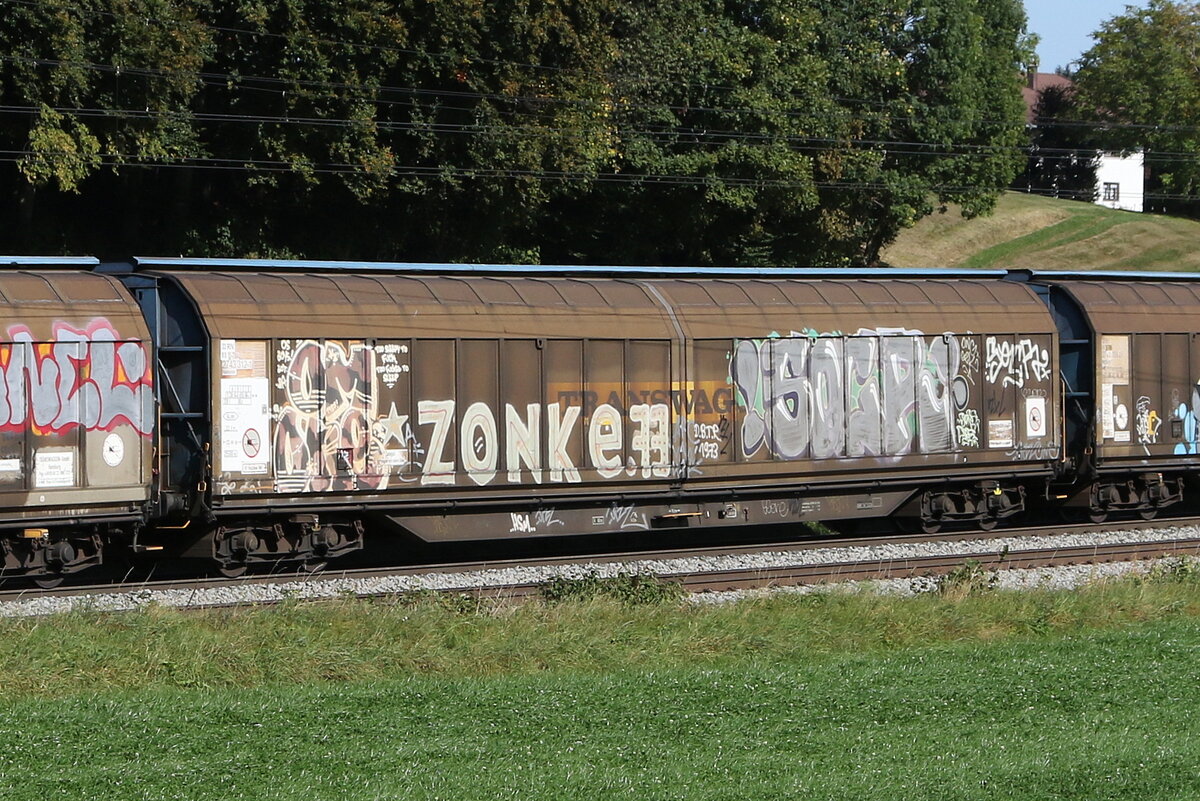 2743 312 (Habbiins) von  TWA  am 11. Oktober 2023 bei Axdorf.