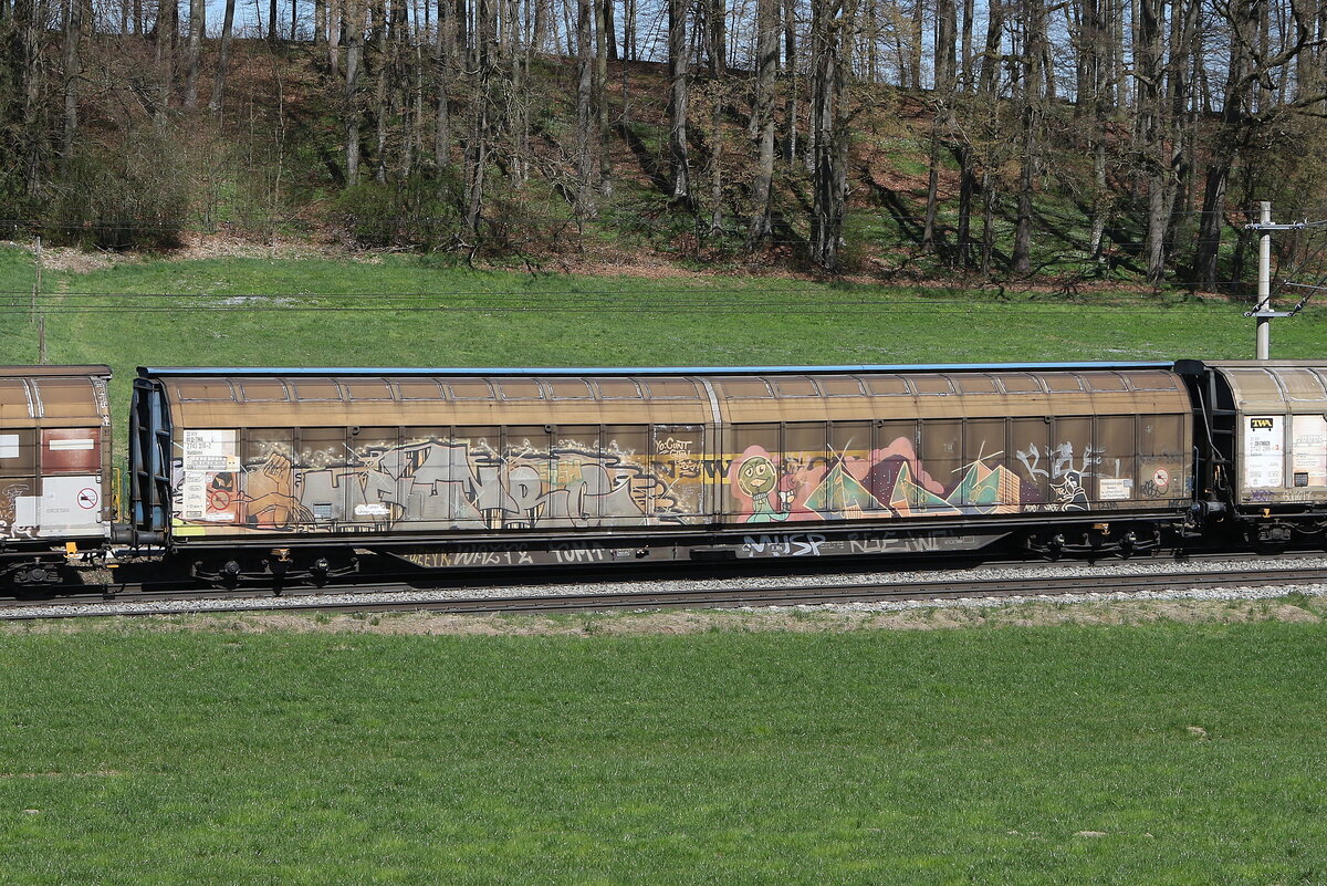 2743 316 (Habbiins) von  TWA  am 4. April 2025 bei Axdorf.