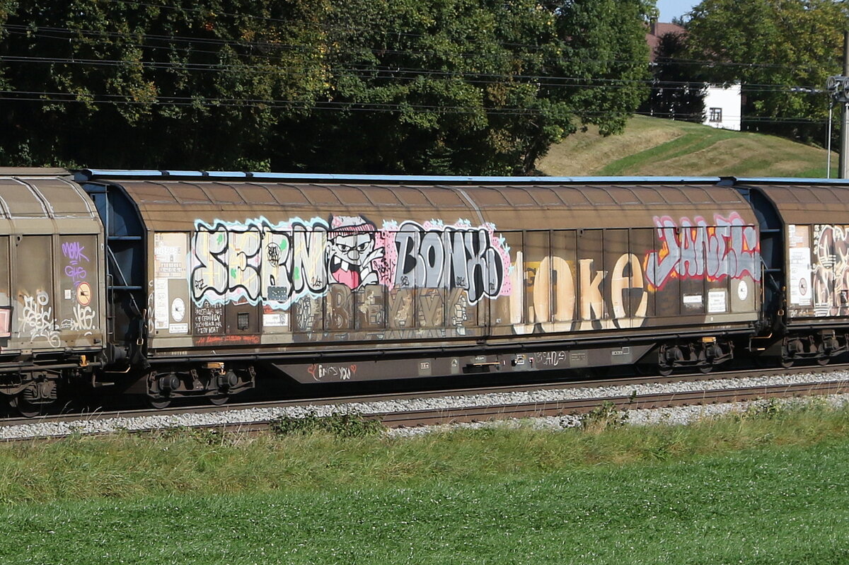 2743 534 (Habbiins) von  TWA  am 11. Oktober 20223 bei Axdorf.