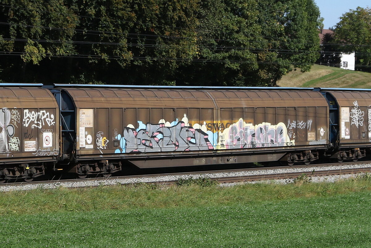 2743 556 (Habbiins) von  TWA  am 11. Oktober 2023 bei Axdorf.