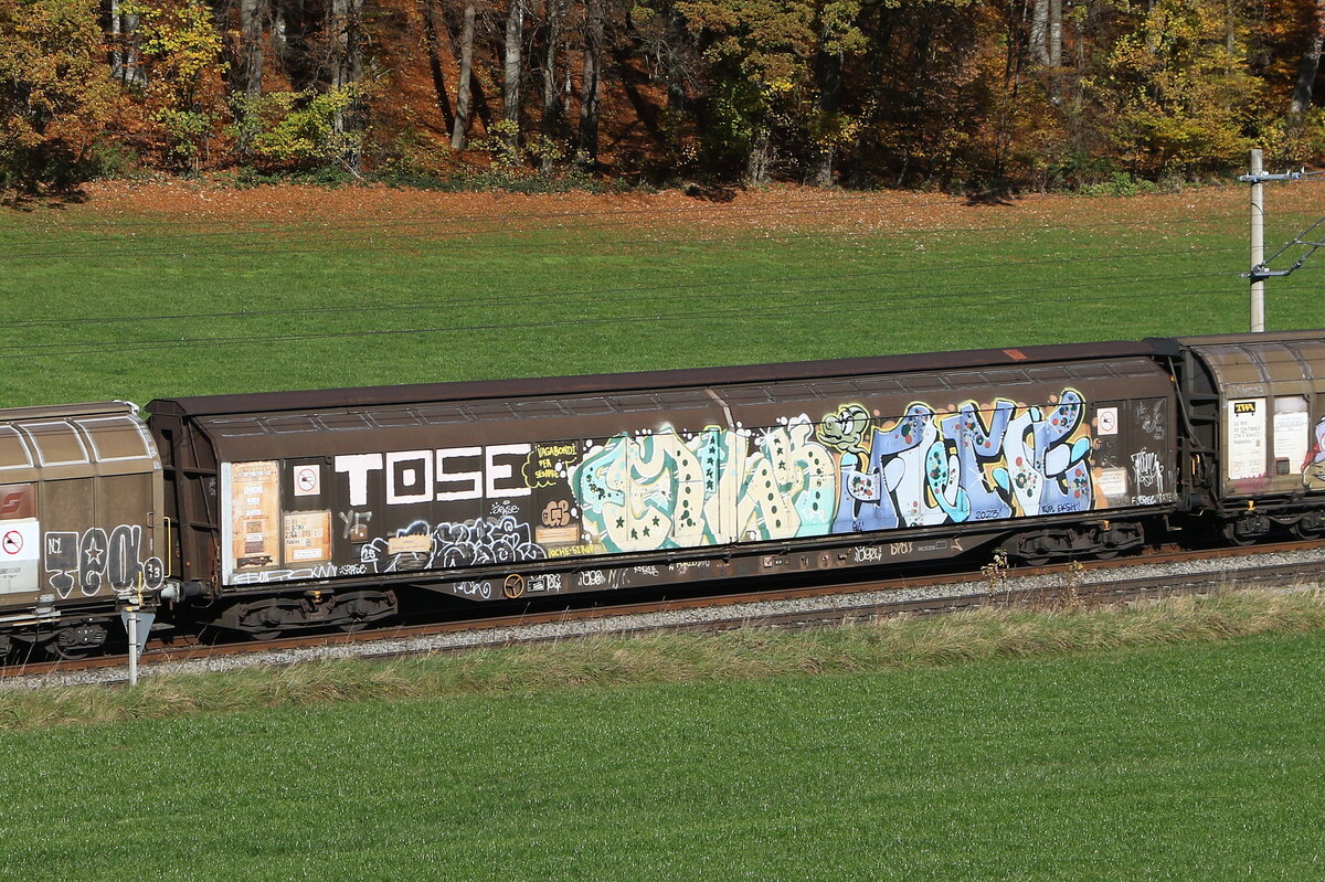 2744 919 (Habiins) von  TWA  am 4. November 2025 bei Axdorf.