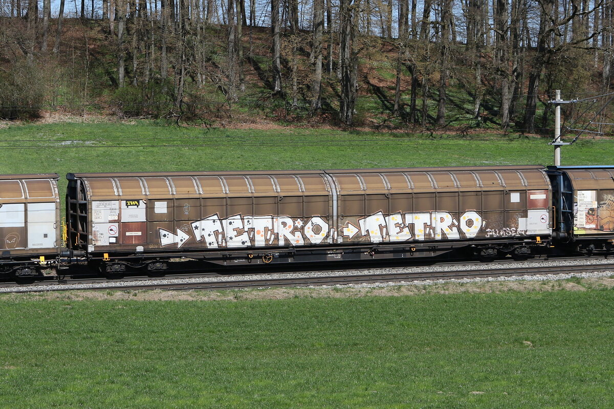 2771 874 (Habbins) von  TWA  am 4. April 2025 bei Axdorf.