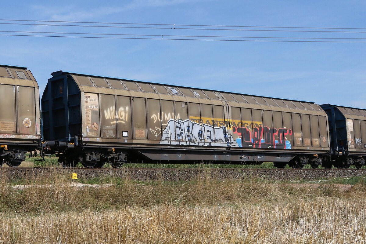 2845 218 (Habiis) von  TWA  am 4. August 2022 bei Weiden/Oberpfalz.