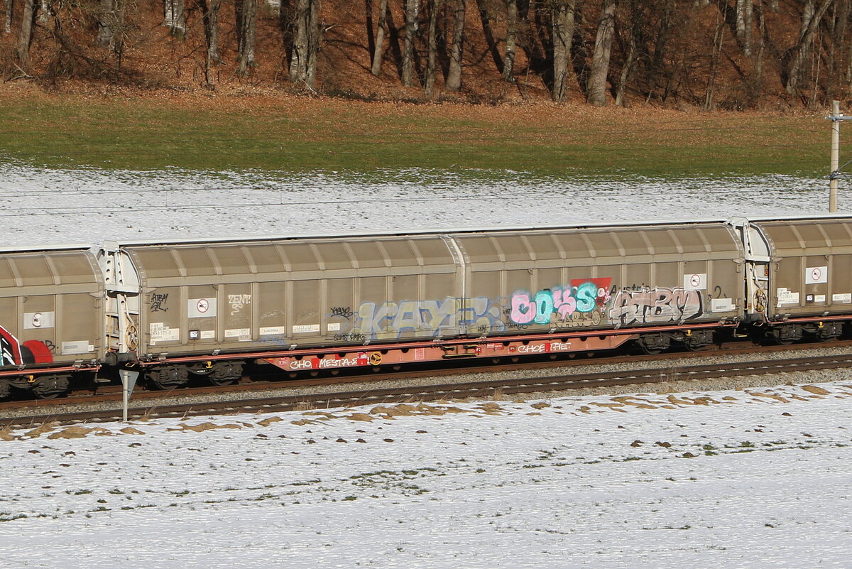 2893 171 (Habbiins) von  RCW  am 16. Januar 2026 bei Axdorf.