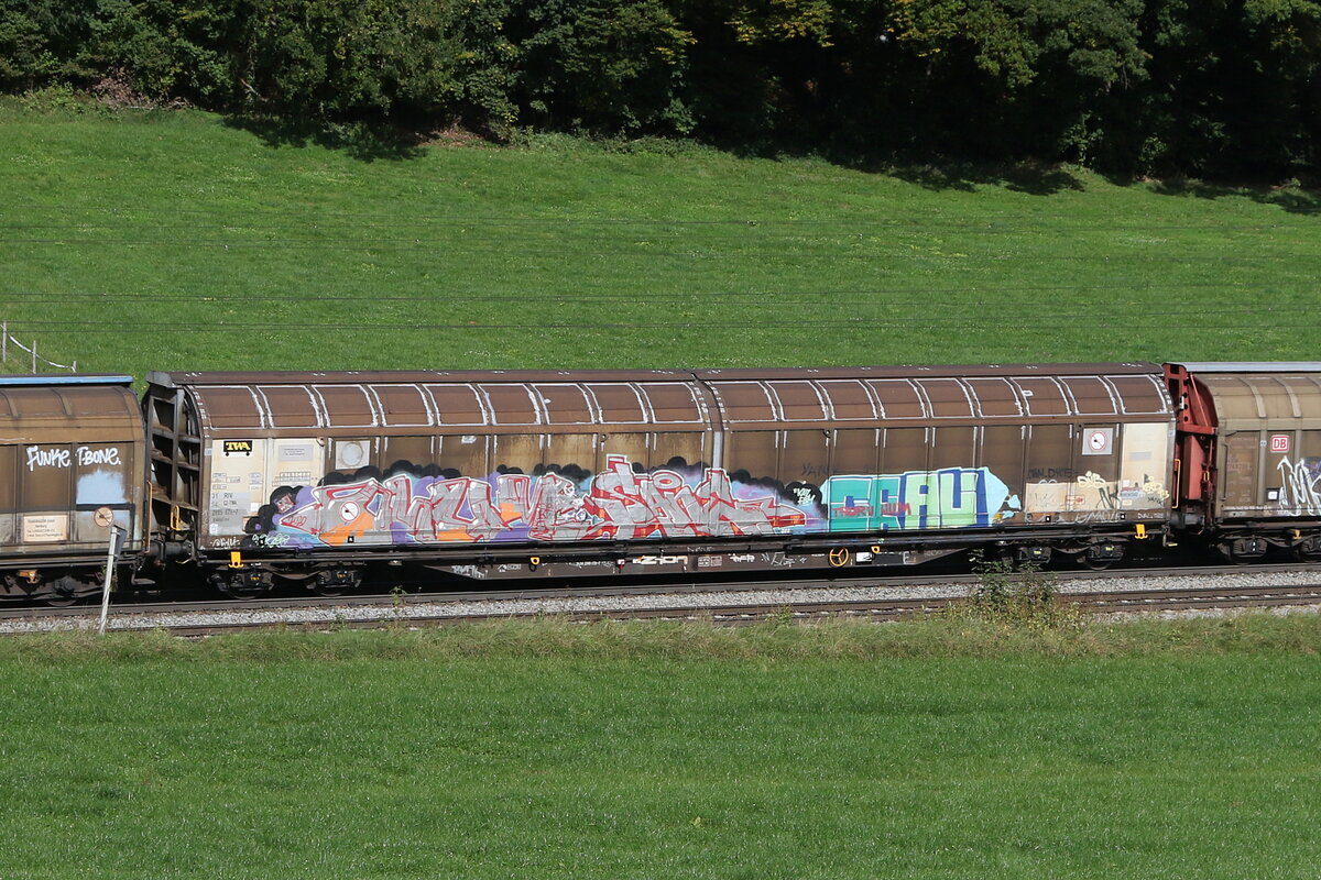 2899 878 (Habbillns) von  TWA  am 7. Oktober 2024 bei Axdorf.