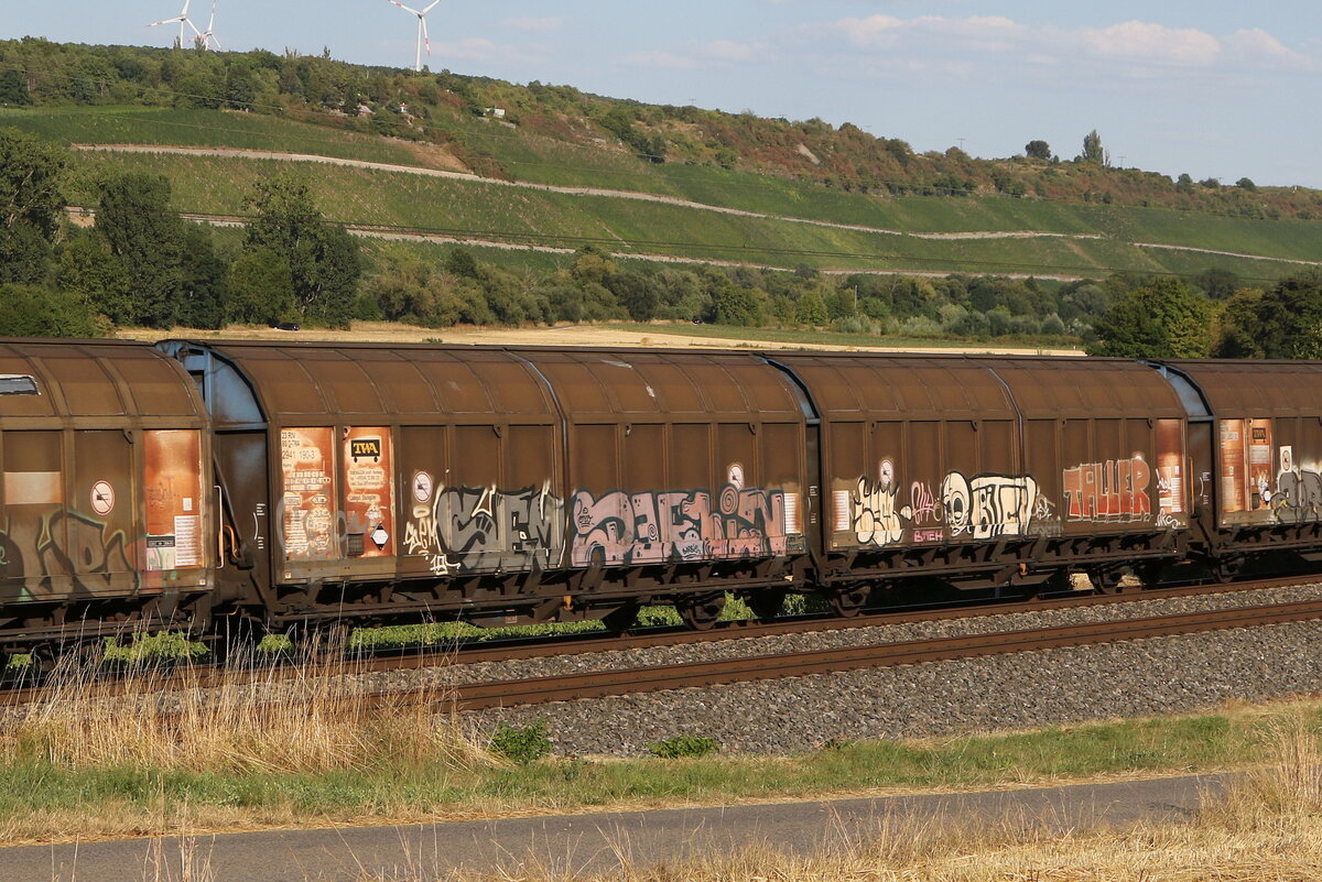 2941 190 (Hiirrs) am 4. August 2022 bei Winterhausen.