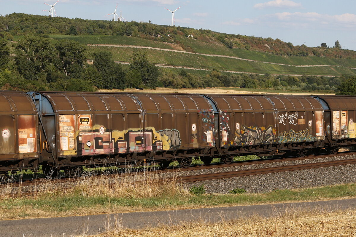 2941 261 (Hiirrs) von  TWA  am 4. August 2022 bei Winterhausen.