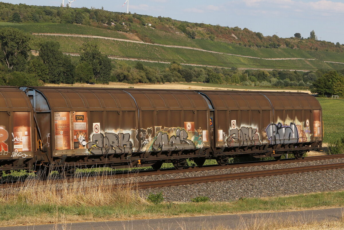 2941 265 (Hiirrs) von  TWA  am 4. August 2022 bei Winterhausen.