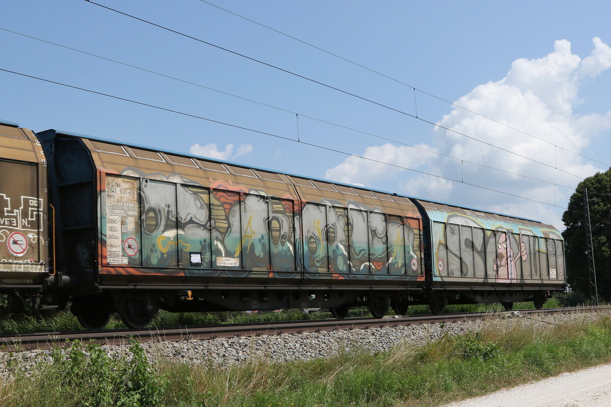 2941 631 (Hiirrs) am 24. Juli 202 bei Übersee am Chiemsee.