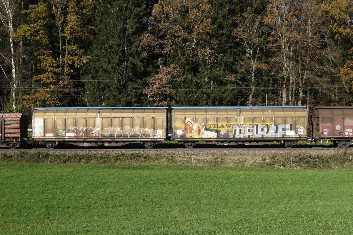 2941 690 (Hirrs) von  TWA  am 16. November 2024 bei Hufschlag.