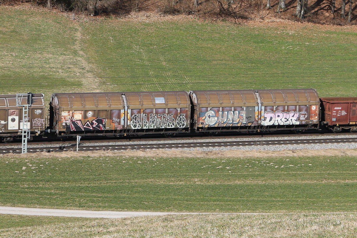 4218 334 (Laais) von  RWX  am 28. Februar 2026 bei Axdorf.