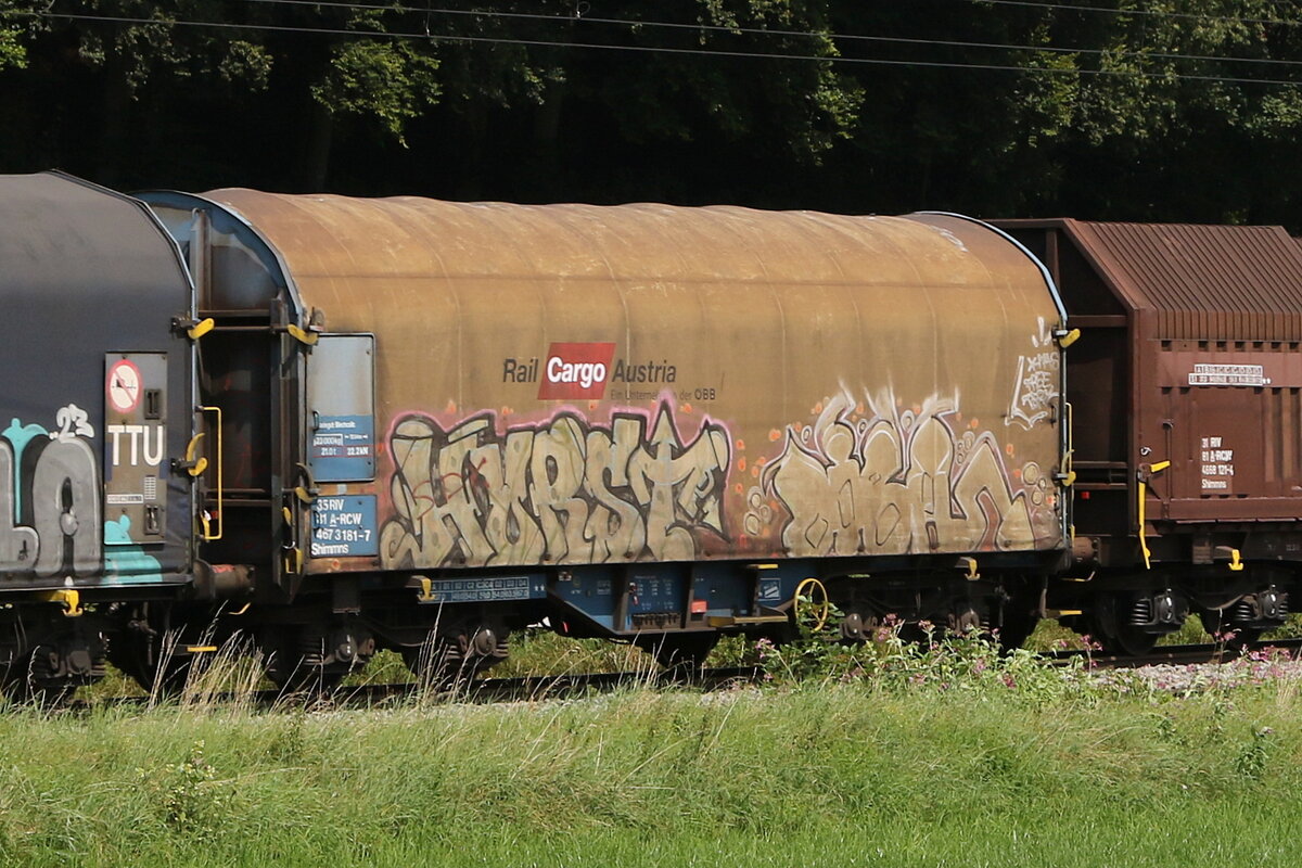 4673 161 (Shimmns) von  TCA  am 7. August 2024 bei Axdorf.