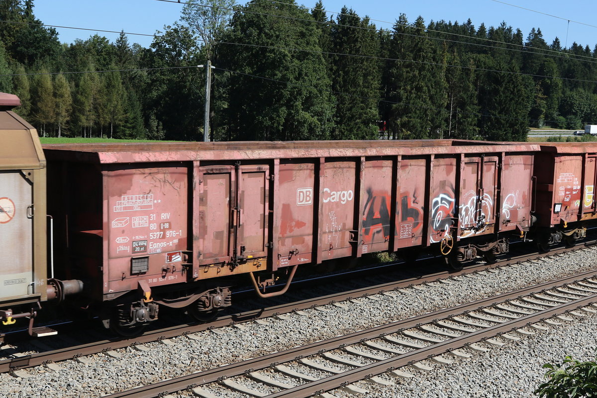 5377 976 (Eanos-x) am 9. September 2020 bei Grabensttt im Chiemgau.