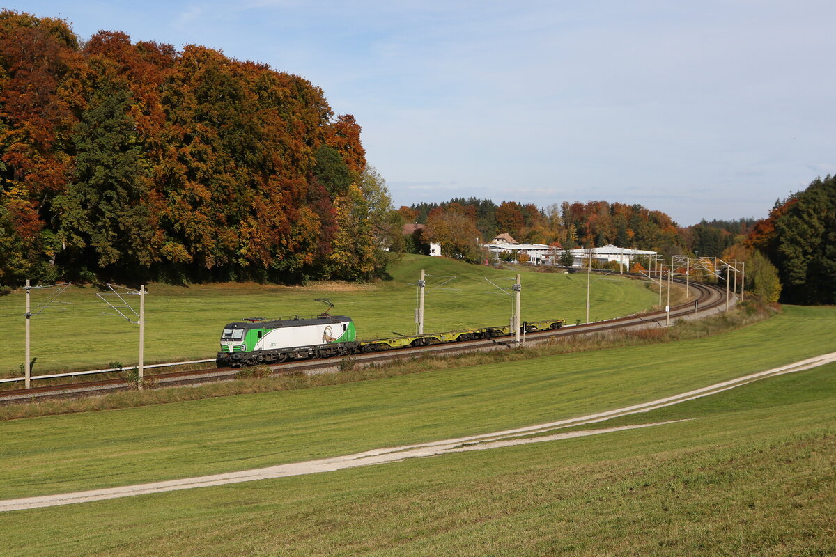 6193 919  Alpensteinbock  mit zwei Flachwagen aus Salzburg kommend am 21. Oktober 2025 bei Axdorf im Chiemgau.