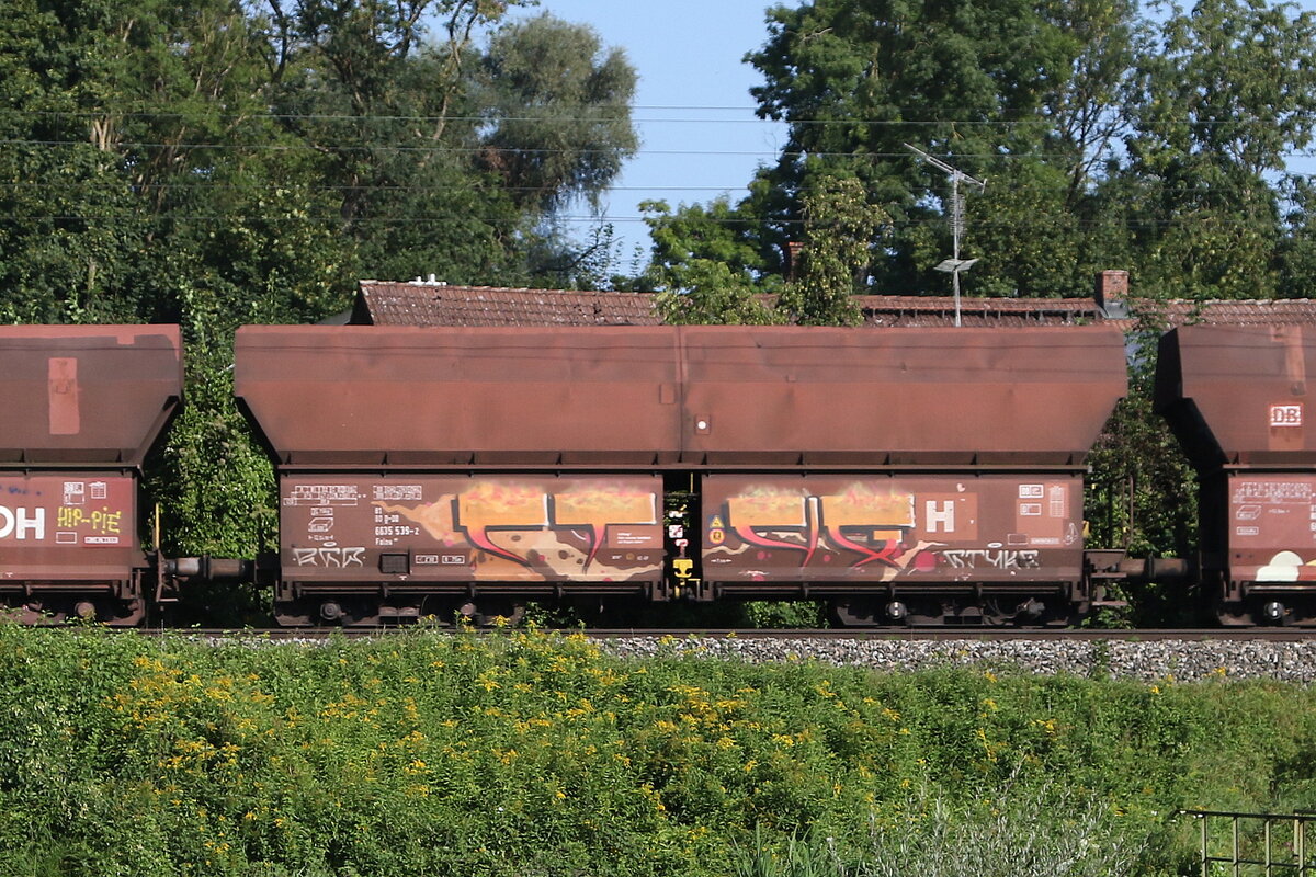 6635 539 (Falns) am 24. August 2024 bei Volkmannsdorf.