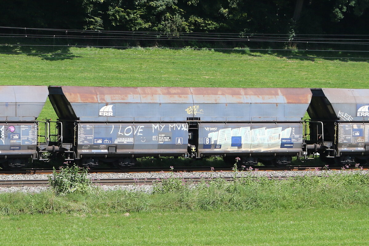 6643 083 (Falns) von  RCW  am 12. August 2025 bei Axdorf.