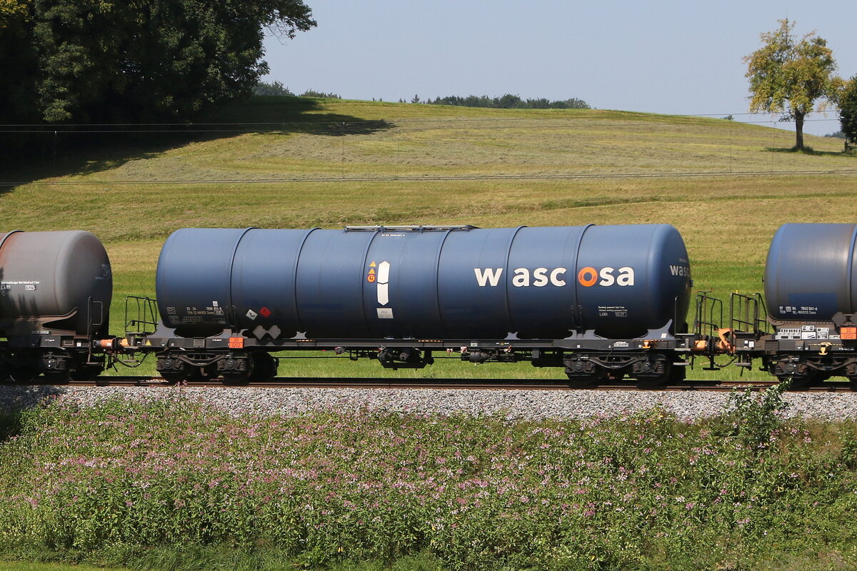 7830 051 (Zacns) von  WASCOSA  am 12. August 2025 bei Axdorf.