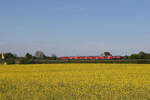 218 498 aus Regensburg kommend am 2. Mai 2024 bei Ponholz.