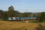 223 064  Landesgartenschau  aus Hof kommend am 18.